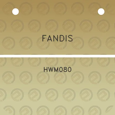 fandis-hwm080