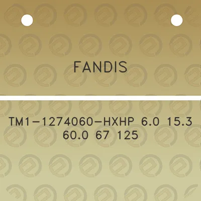 fandis-tm1-1274060-hxhp-60-153-600-67-125