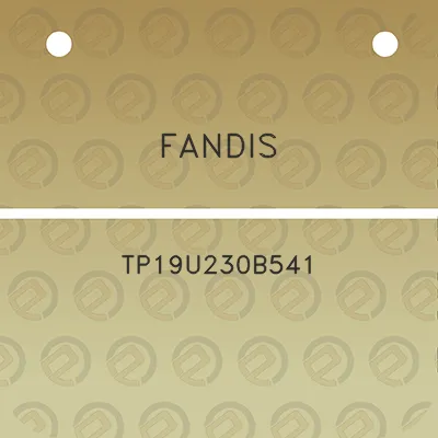 fandis-tp19u230b541