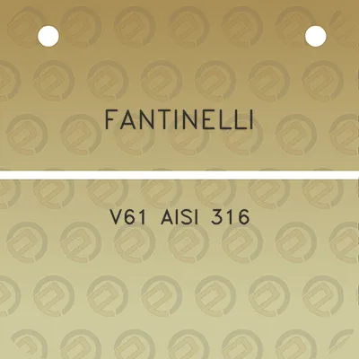 fantinelli-v61-aisi-316