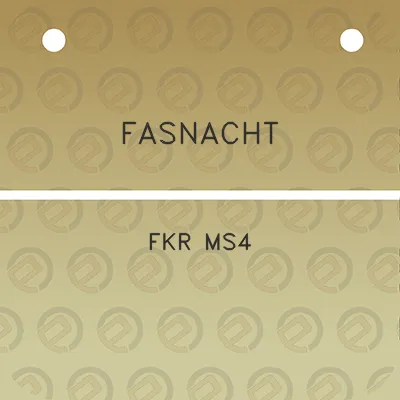 fasnacht-fkr-ms4