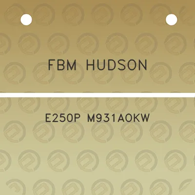 fbm-hudson-e250p-m931aokw