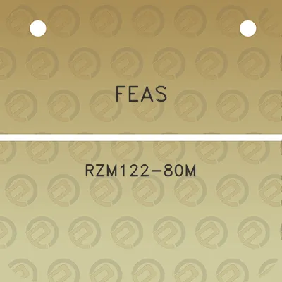 feas-rzm122-80m