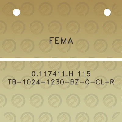 fema-0117411h-115-tb-1024-1230-bz-c-cl-r