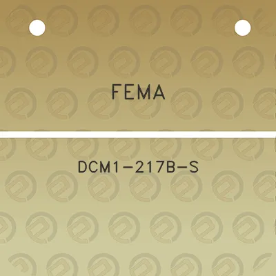 fema-dcm1-217b-s