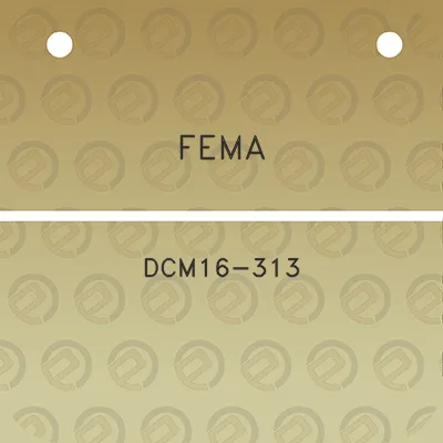 fema-dcm16-313