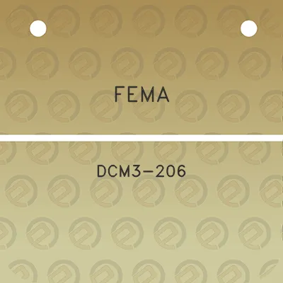 fema-dcm3-206