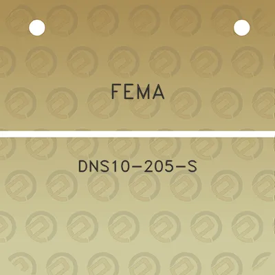 fema-dns10-205-s