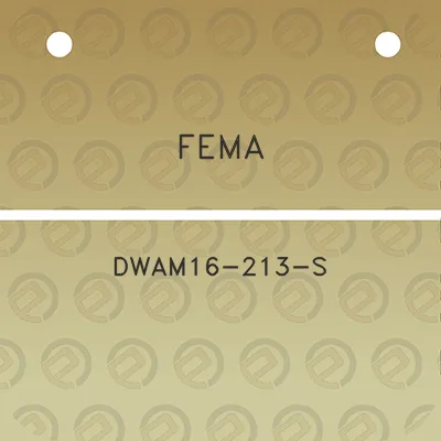 fema-dwam16-213-s