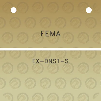 fema-ex-dns1-s