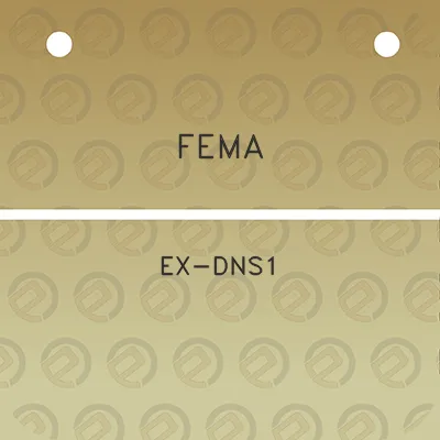 fema-ex-dns1