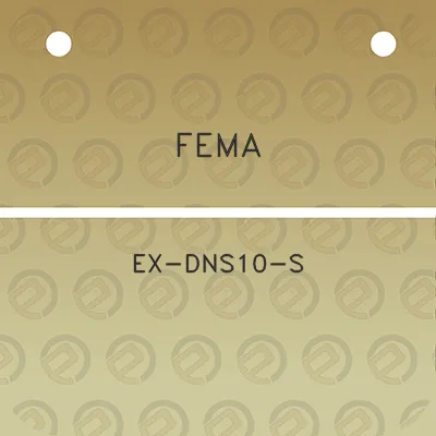 fema-ex-dns10-s