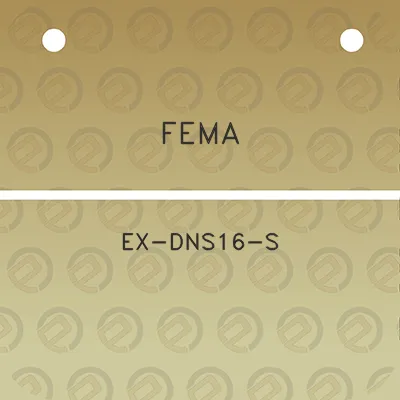 fema-ex-dns16-s