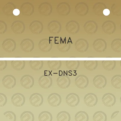 fema-ex-dns3