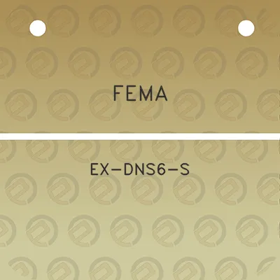 fema-ex-dns6-s