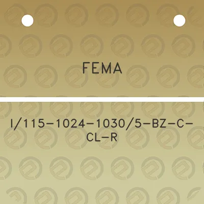 fema-i115-1024-10305-bz-c-cl-r