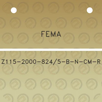 fema-z115-2000-8245-b-n-cm-r