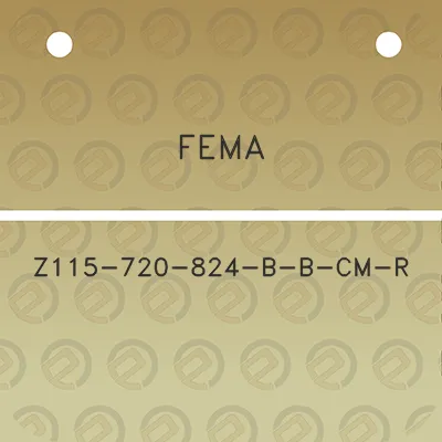 fema-z115-720-824-b-b-cm-r