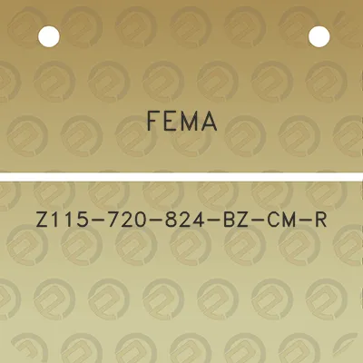 fema-z115-720-824-bz-cm-r