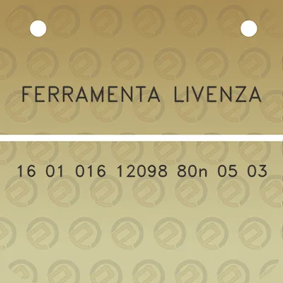 ferramenta-livenza-16-01-016-12098-80n-05-03