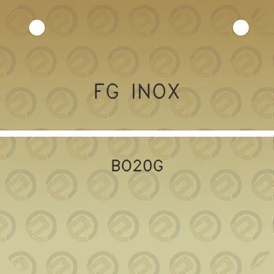 fg-inox-bo20g