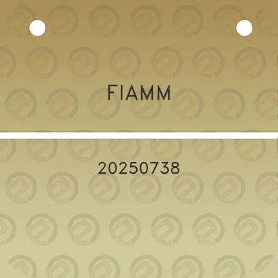 fiamm-20250738