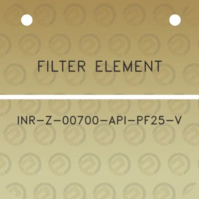 filter-element-inr-z-00700-api-pf25-v