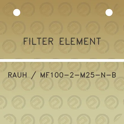 filter-element-rauh-mf100-2-m25-n-b