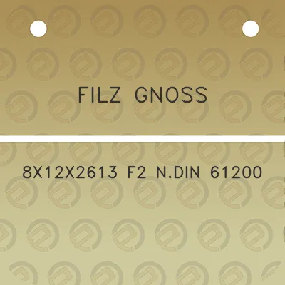 filz-gnoss-8x12x2613-f2-ndin-61200