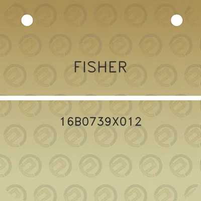 fisher-16b0739x012