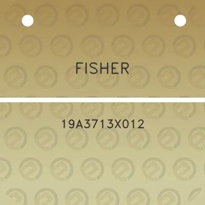 fisher-19a3713x012