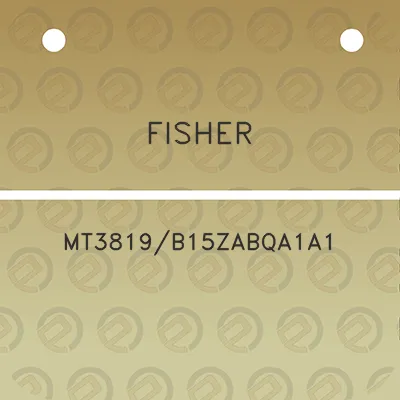 fisher-mt3819b15zabqa1a1