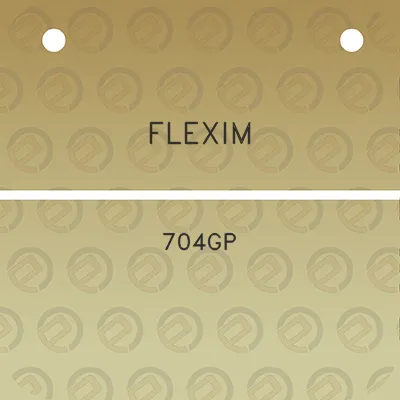 flexim-704gp