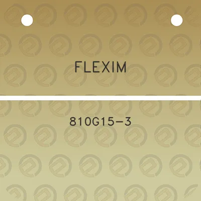 flexim-810g15-3