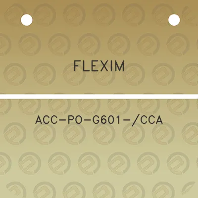 flexim-acc-po-g601-cca