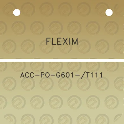 flexim-acc-po-g601-t111