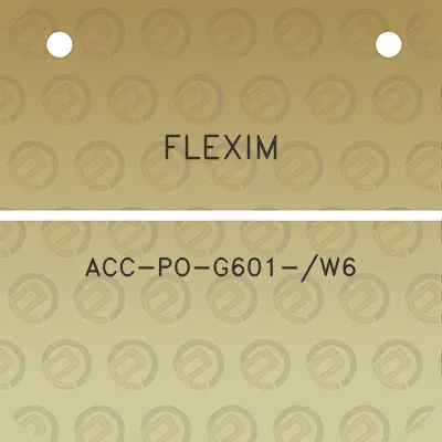 flexim-acc-po-g601-w6