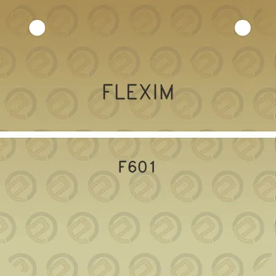 flexim-f601