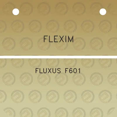 flexim-fluxus-f601