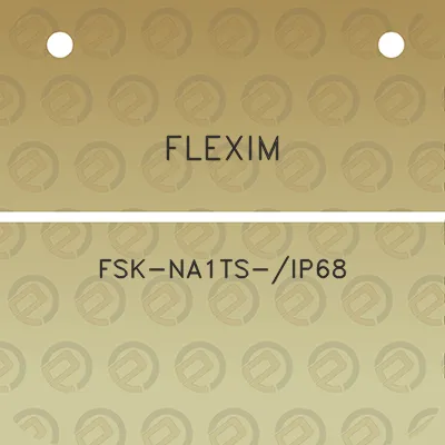 flexim-fsk-na1ts-ip68