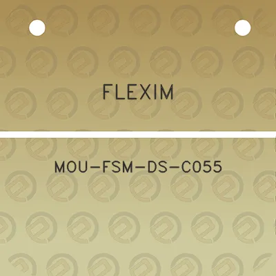 flexim-mou-fsm-ds-c055