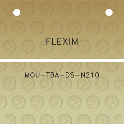 flexim-mou-tba-ds-n210