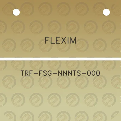 flexim-trf-fsg-nnnts-000