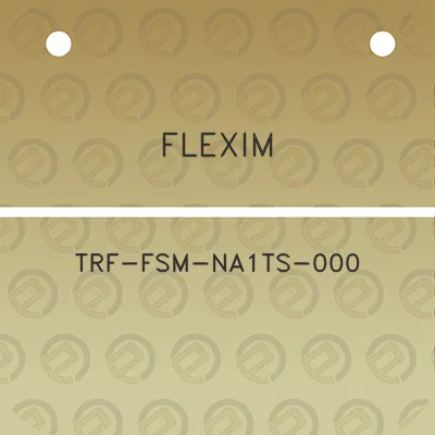 flexim-trf-fsm-na1ts-000