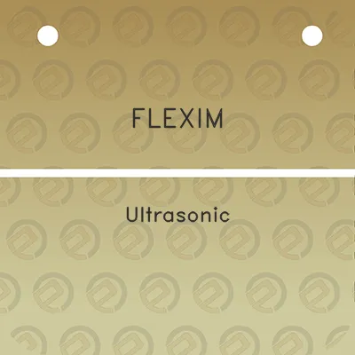 flexim-ultrasonic