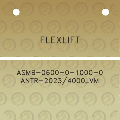 flexlift-asmb-0600-0-1000-0-antr-20234000_vm