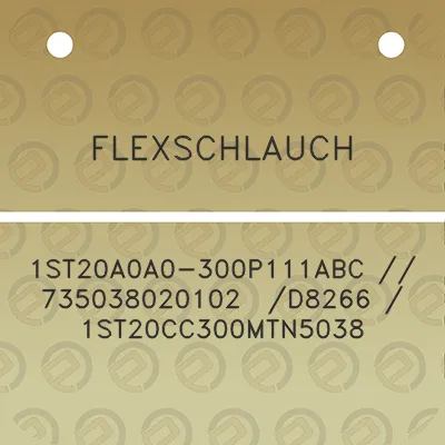 flexschlauch-1st20a0a0-300p111abc-735038020102-d8266-1st20cc300mtn5038