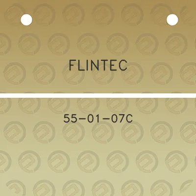 flintec-55-01-07c