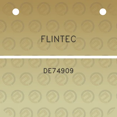 flintec-de74909