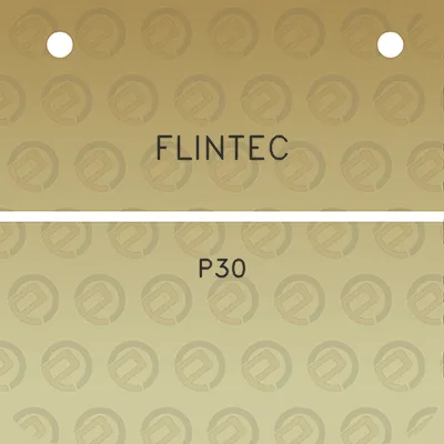 flintec-p30